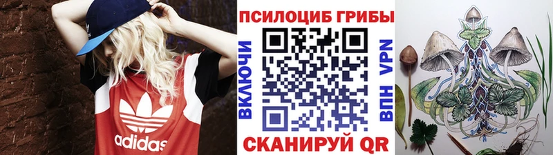 Псилоцибиновые грибы ЛСД Алупка